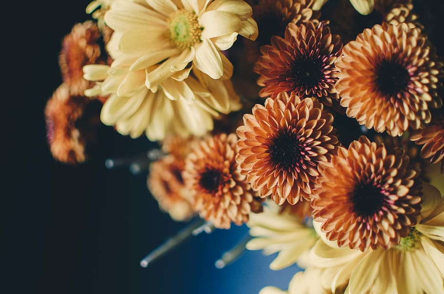 bouquet beige and orange flowers, yellow and orange flowers, floral, HD wallpaper