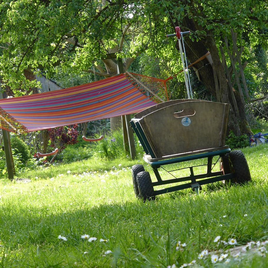 stroller, may hike, 1, garden, summer, plant, grass, green color HD wallpaper