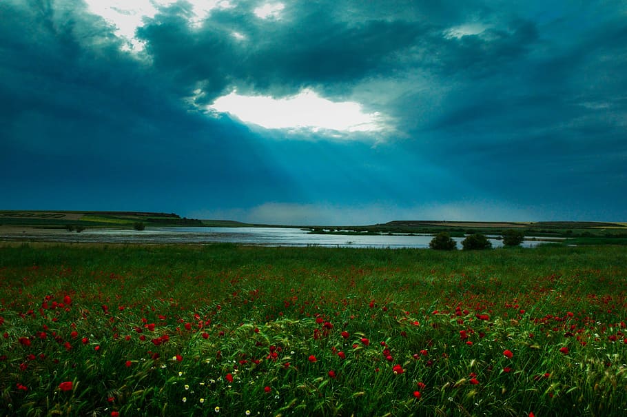 Highlights, Landscape, nature, beauty in nature, scenics, tranquility HD wallpaper