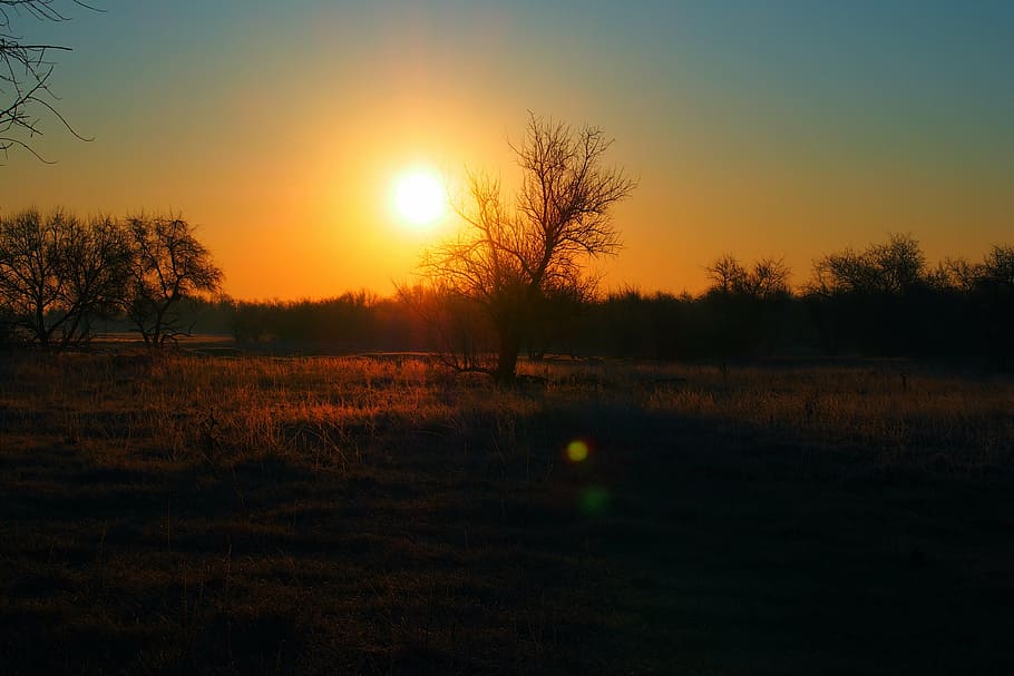 sunset, field, in the evening, sunlight, nature, landscape HD wallpaper