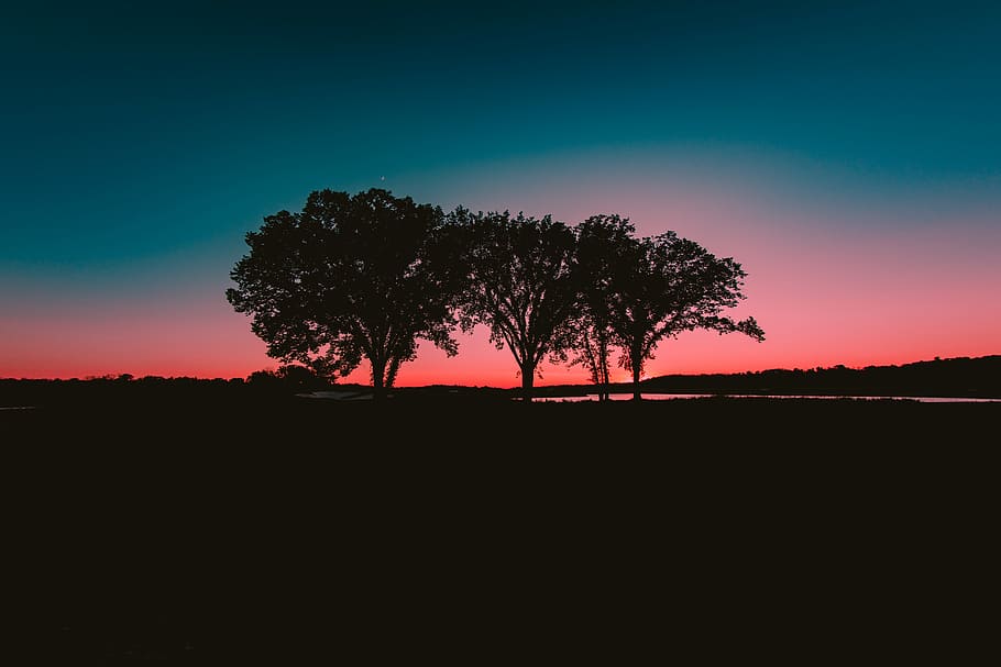 green trees under blue and pink sky during daytime, silhouette photography of trees HD wallpaper