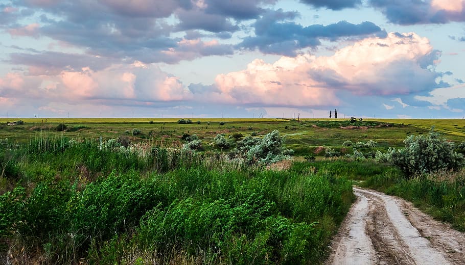landscape, road, grass, field, clouds, horizon, sky, cloud - sky HD wallpaper