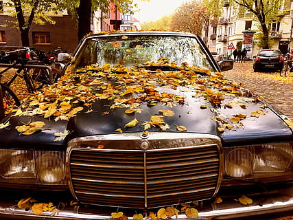 Mercedes, Retro, Oldtimer, Classic, Auto, dare, benz, vehicle HD wallpaper