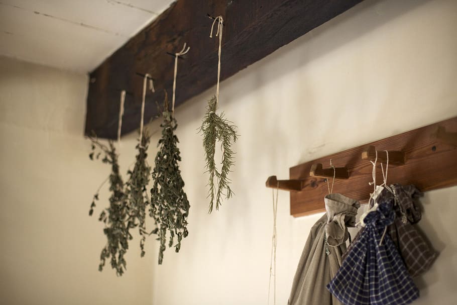 green leaf hanging on brown and black wall hooks inside room HD wallpaper