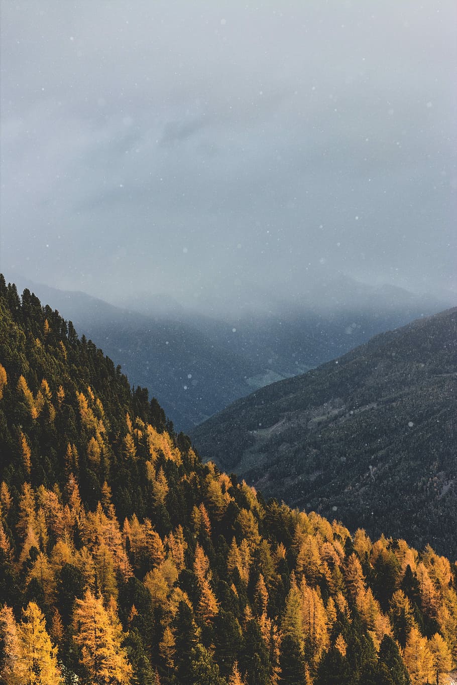 clouds-covered moutain, aerial view of forests, mountain, autumn HD wallpaper