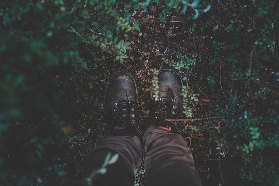 photography of black shoes surrounded by green leaves, person standing on green field HD wallpaper