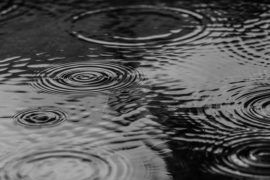 grayscale photography of water drops on water, puddle, rain HD wallpaper