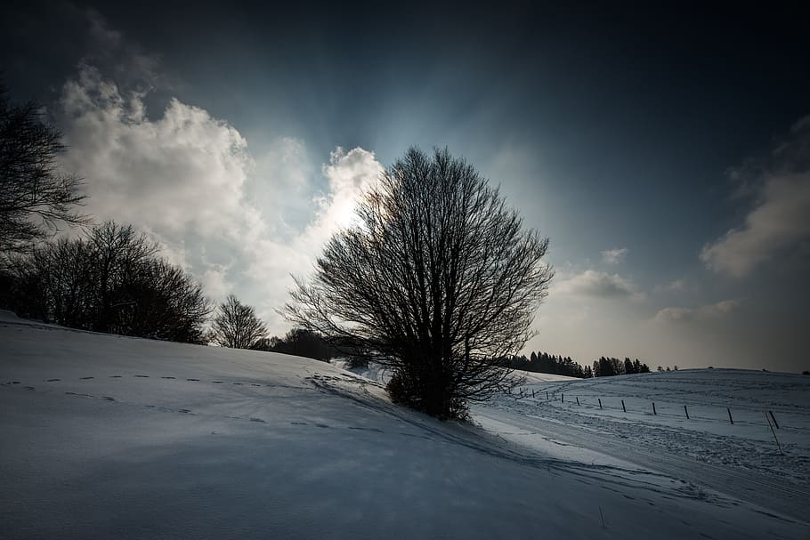 mountain, trees, nature, sky, clouds, snow, winter, cold, sunshine HD wallpaper