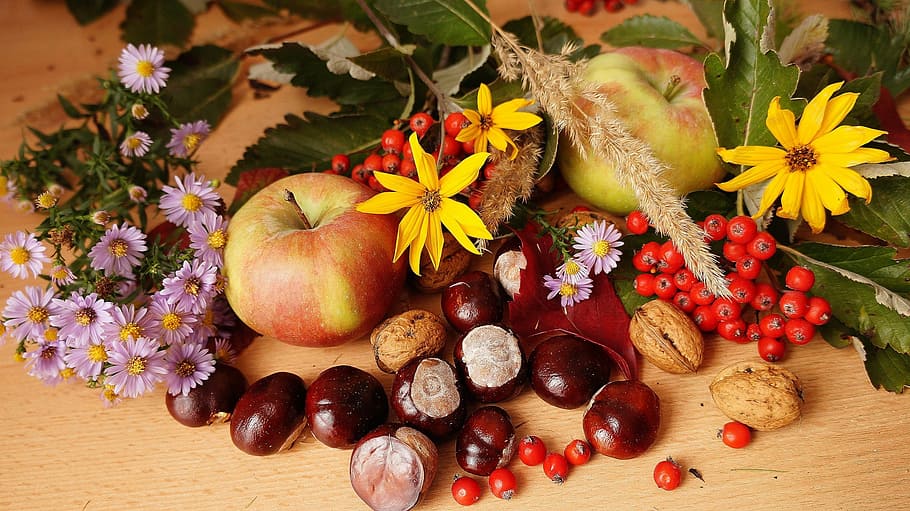 assorted fruits painting, nature, plants, composition, autumn HD wallpaper