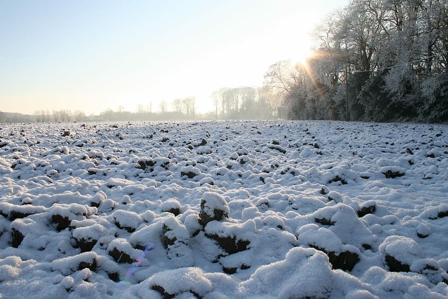 Snow Covered Ground, Icy Winter, first snow, ice, landscape, cold temperature