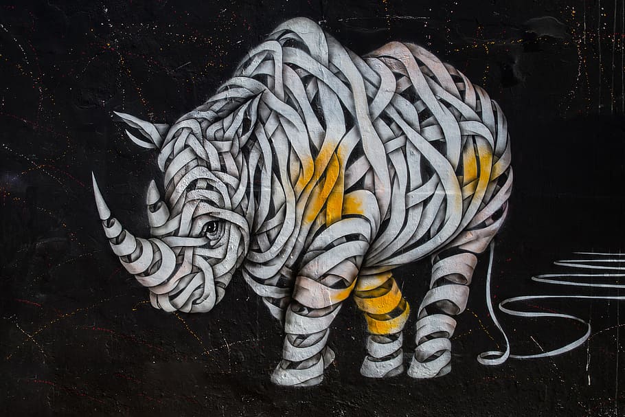 Street art rhino captured on a wall with a Canon 6D DSLR, urban