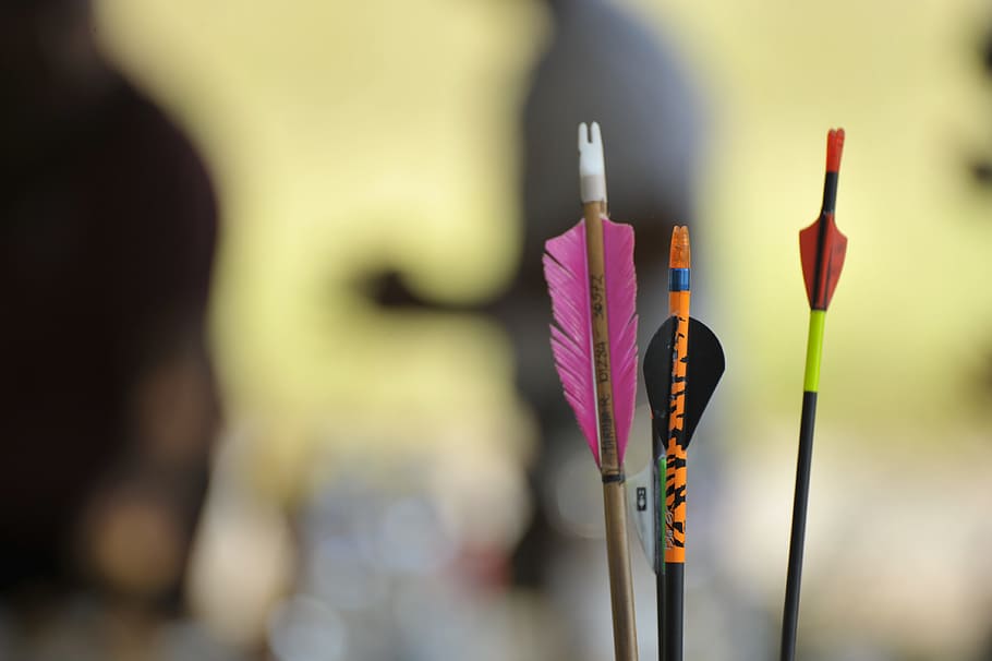 outdoors, arc, arrow, archery, game, sport, 3d, campaign, nature HD wallpaper