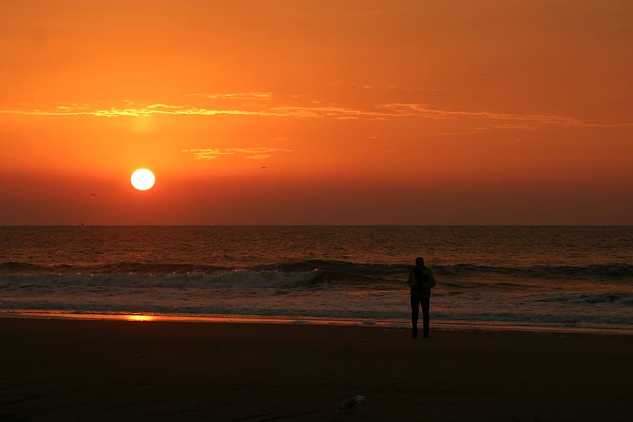 beach, sunset, den-haag, sea, view, silhouette, colorful sunset, HD wallpaper