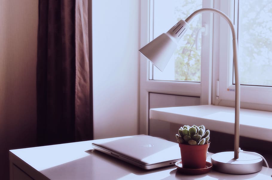 closed silver MacBook on table near plant and desk lamp, green succulent plant in pot next to study lamp near glass window HD wallpaper