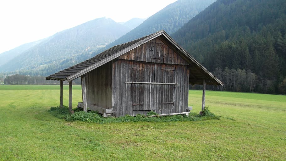 barn, scale, field barn, alpine hut, nature, mountain, rural Scene HD wallpaper