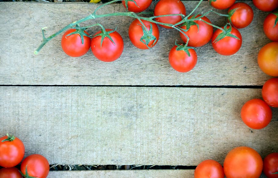 tomato lot, Vegetable, Crate, vegetable crate, tomato crate HD wallpaper
