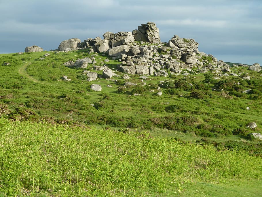 dartmoor, hill, devon, landscape, nature, rocks, plant, grass HD wallpaper
