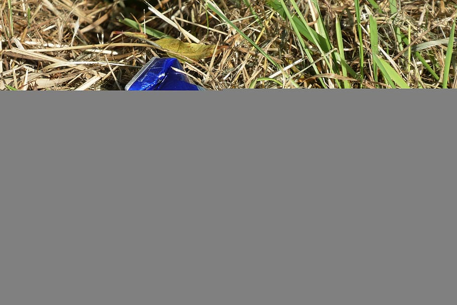 waste, grass, disposable, pollution, environment, plant, copy space HD wallpaper