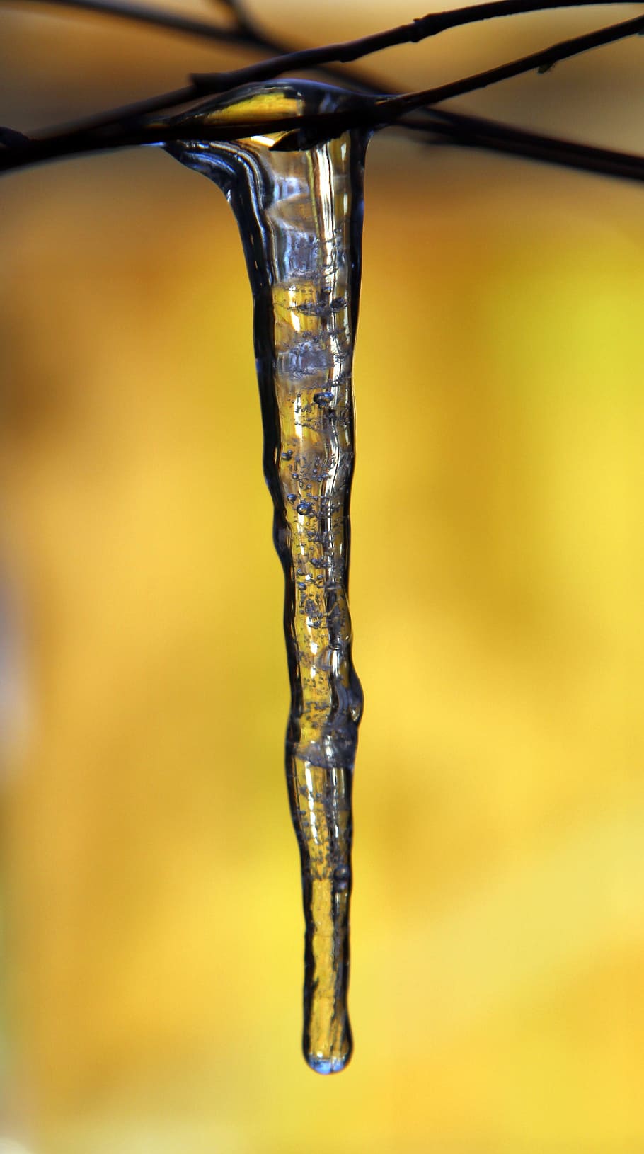 icicle, winter, ice, cold, close-up, water, no people, nature HD wallpaper