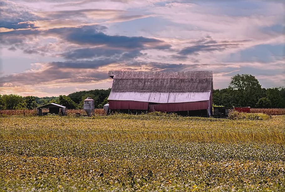 barn, rustic, barns, ohio, digital art, rural, scenic, country HD wallpaper
