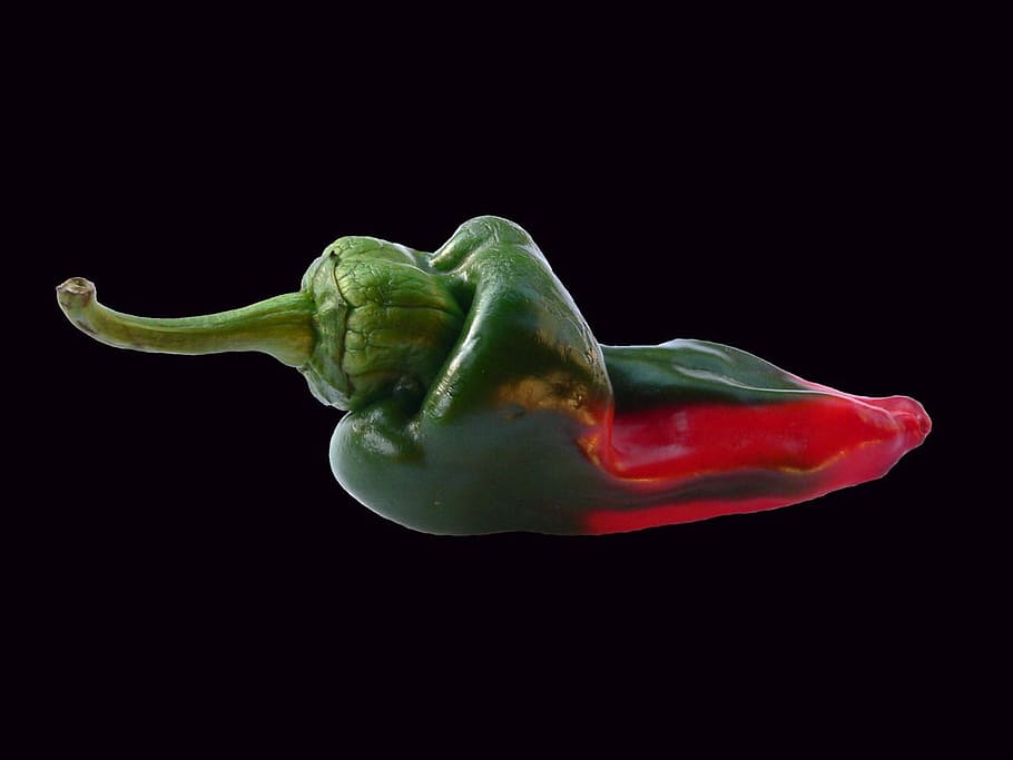 Pepper, Vegetable, Red, Green, Fresh, food, healthy, organic HD wallpaper