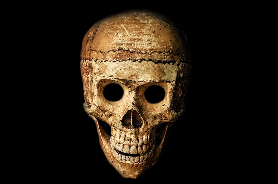 human brown skull, human skull, halloween, people, mask, dummy, HD wallpaper