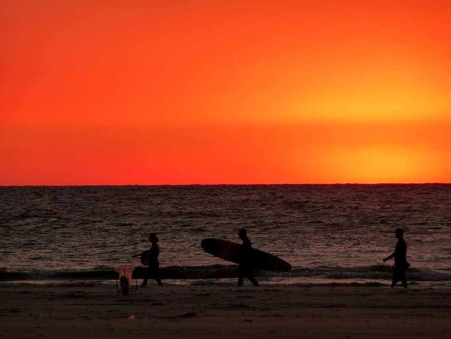 three person walking on beach shore, silhouette, seashore, carrying HD wallpaper