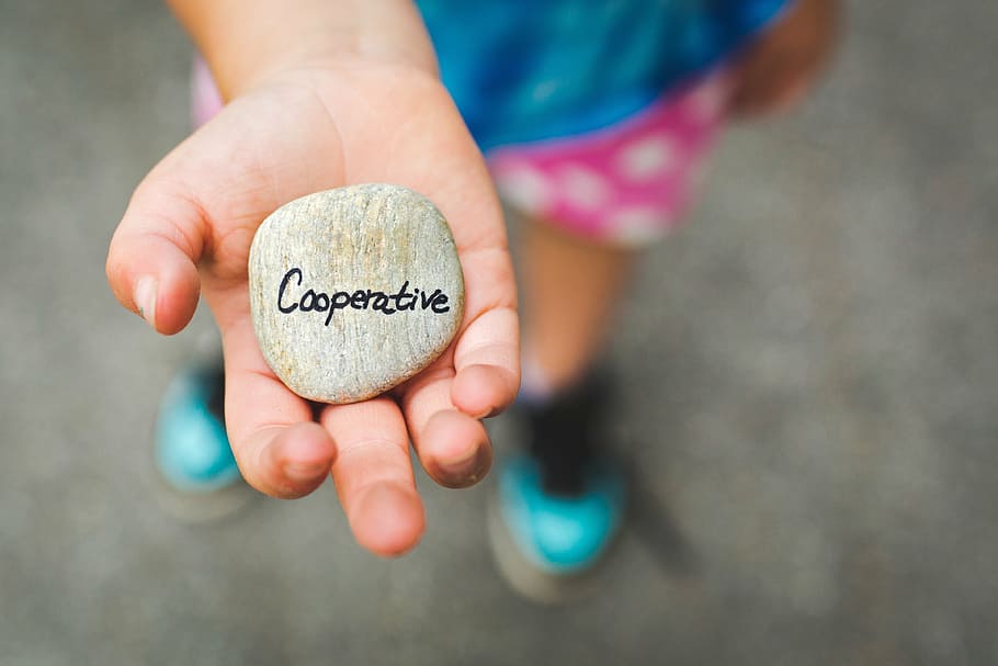 gray stone fragment on hand, cooperative, cooperation, teamwork HD wallpaper