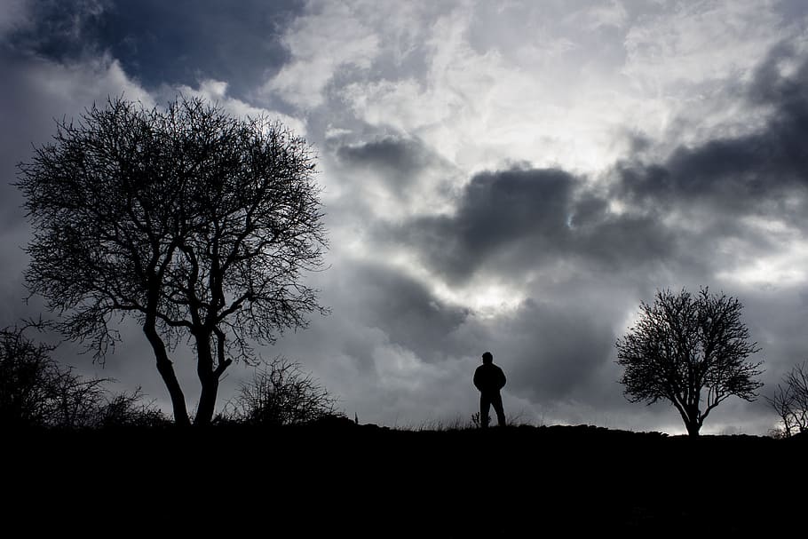 Silhouette, Tree, Human, Landscape, sunset, reverse light, nature HD wallpaper