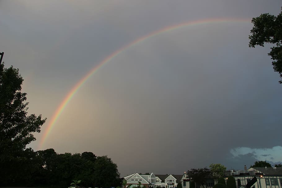 rainbow, cloud, dark, sky, weather, tree, beauty in nature HD wallpaper