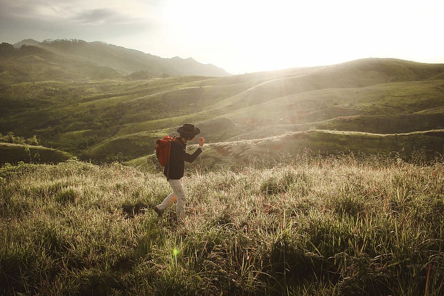 person walking in the middle of mountain grass field, man walking on grass field HD wallpaper