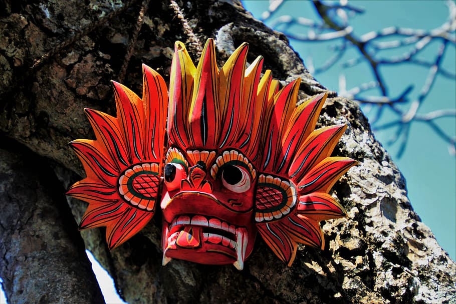 brown tiki mask on tree, wooden, nature, color, no one, at the court of