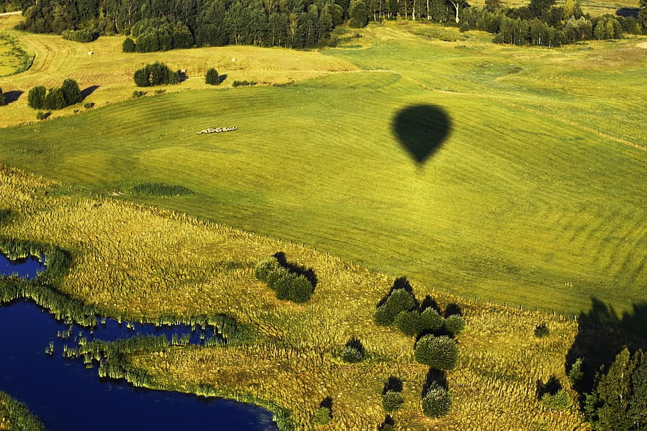 Online crop | HD wallpaper: green, nature, air balloon, bird's flight ...