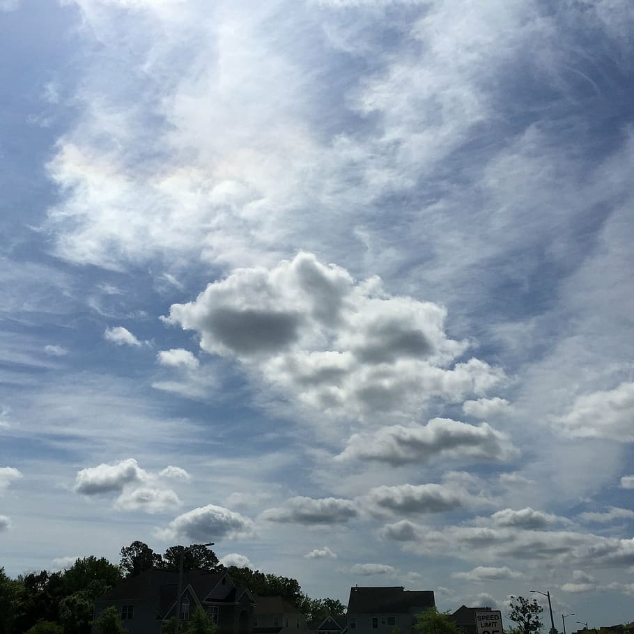 clouds, sky, trees, day, daylight, sky texture, game texture HD wallpaper