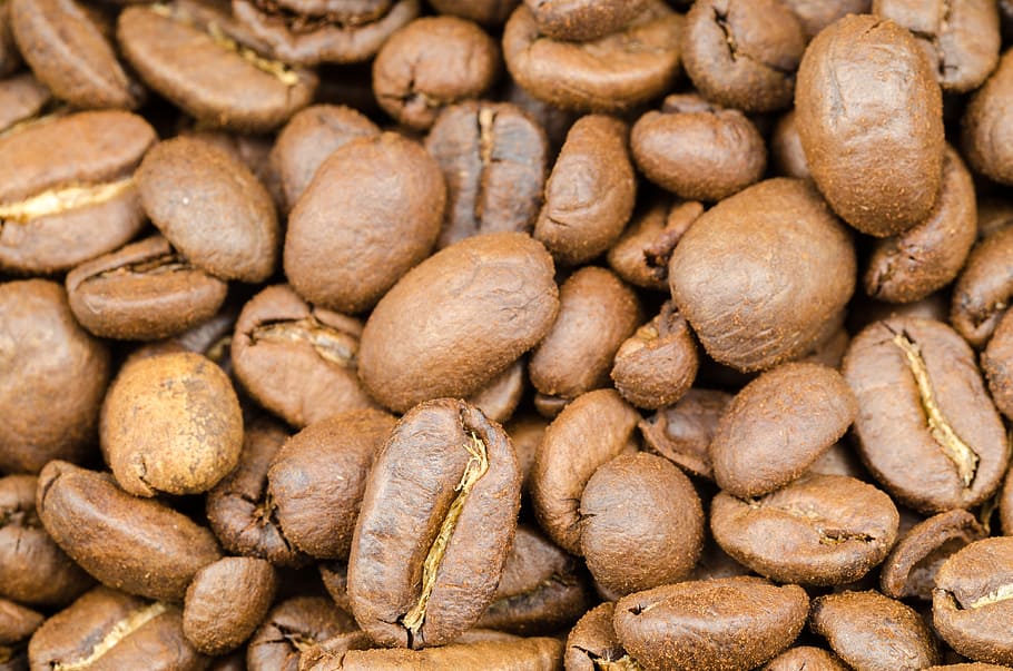 coffee, brown, caffeine, seed, background, black, espresso HD wallpaper