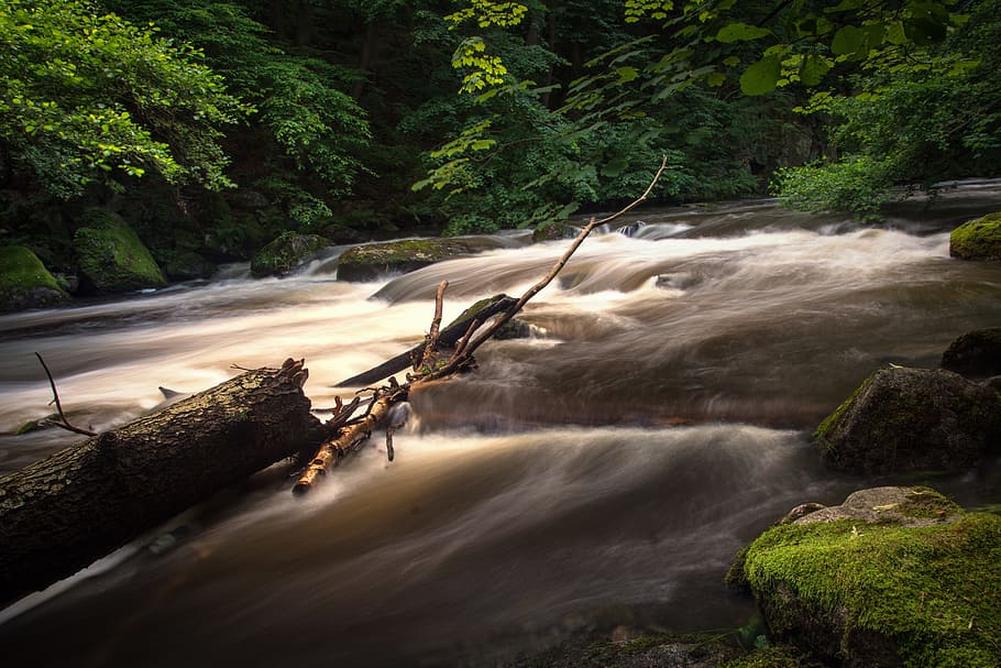 waterfall, rapids, long exposure, nature, landscape, water running HD wallpaper