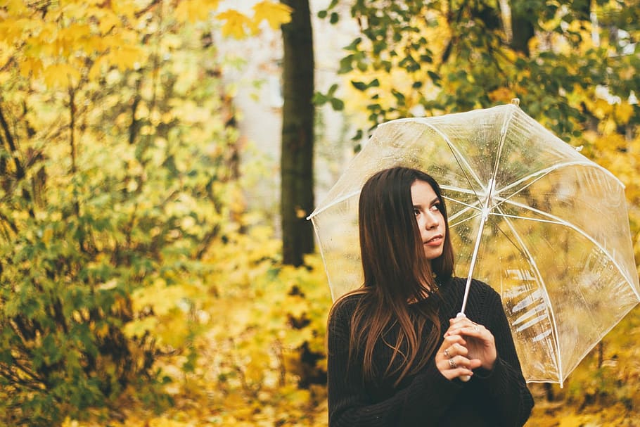 woman holding clear umbrella, standing woman holding clear umbrella near trees
