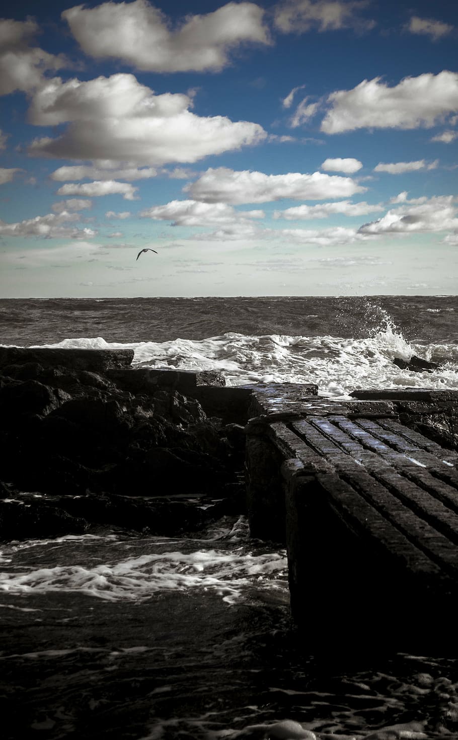sea, sky, clouds, horizon, wind, nature, landscape, birds, fly HD wallpaper