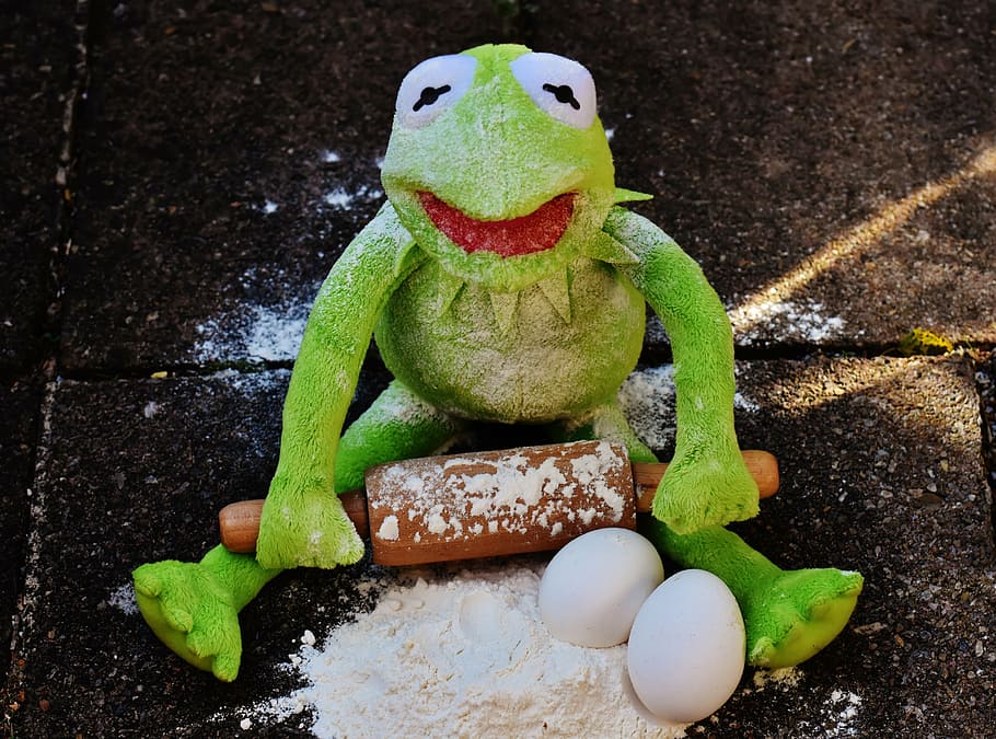 kermit, bake, rolling pin, egg, flour, ingredients, prepare HD wallpaper