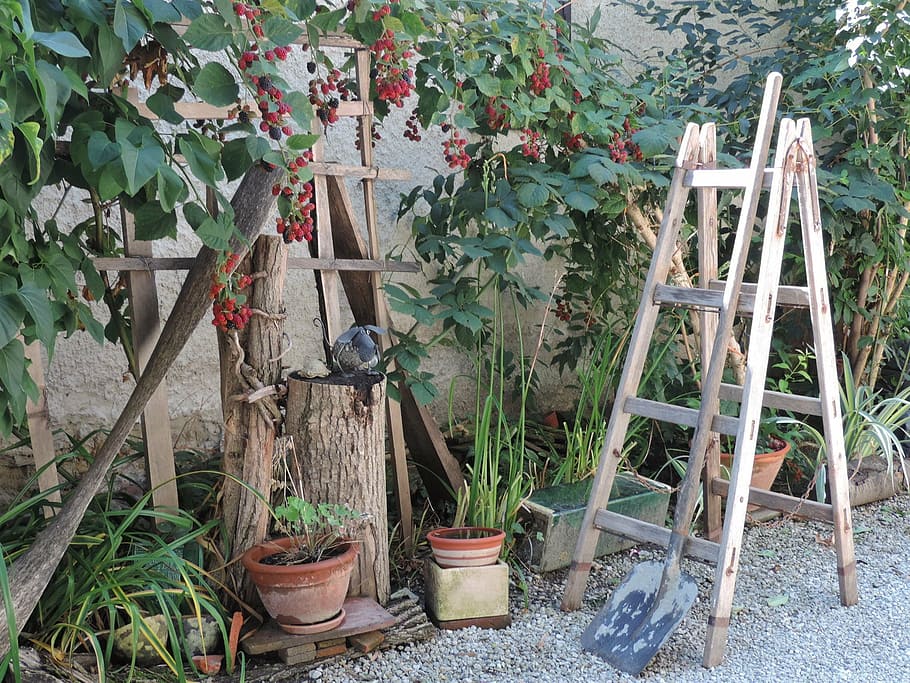 garden, ladder, composition, hobby, plant, growth, no people HD wallpaper