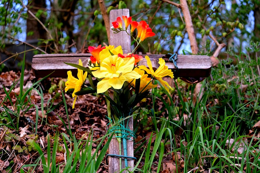 commemorate, death, mourning, remember, accident, cross, farewell HD wallpaper