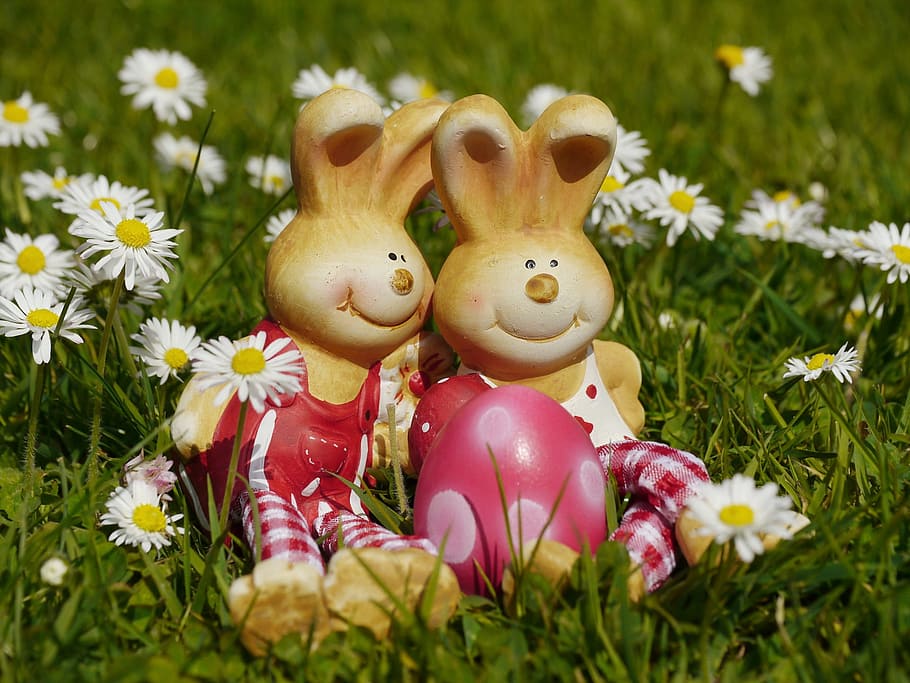 easter, easter bunny, easter decoration, figure, pair, flower meadow HD wallpaper