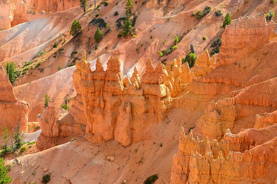 bryce canyon, hoodos, usa, national park, america, south west, HD wallpaper
