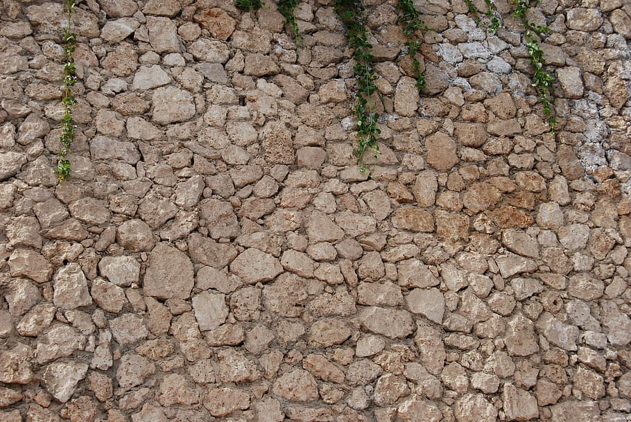 wall, stones, plants, dirt, drought, land, dry, mud, nature HD wallpaper