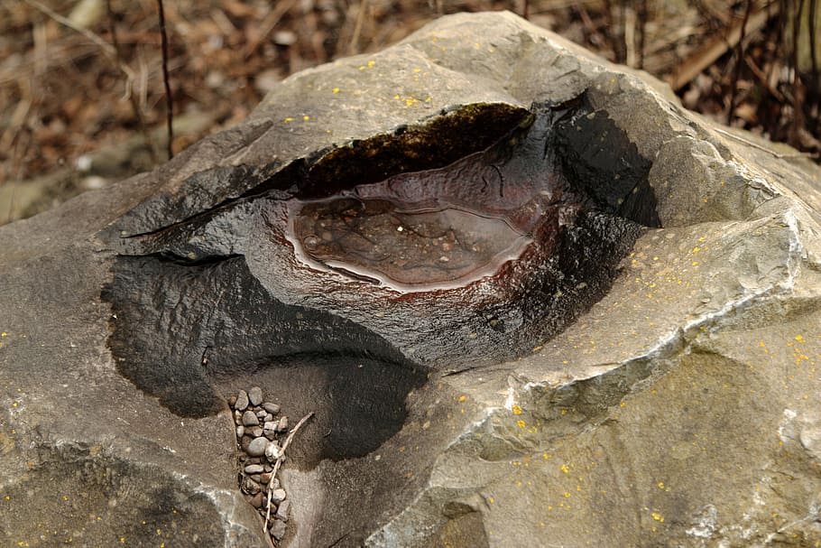 stone, eye, water, puddle, art, sculpture, meditation, view HD wallpaper