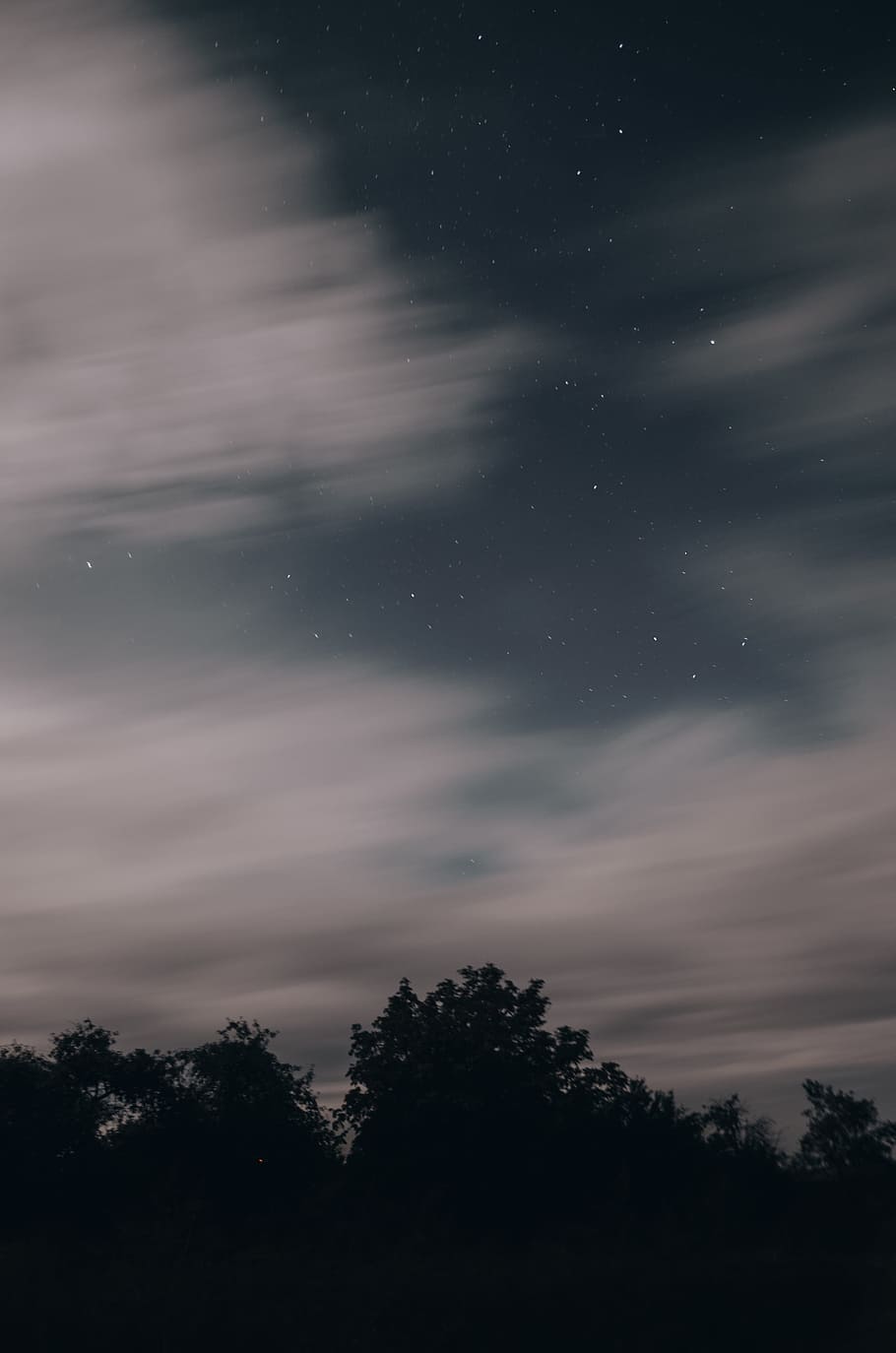stars, galaxy, space, sky, clouds, trees, silhouette, dark HD wallpaper