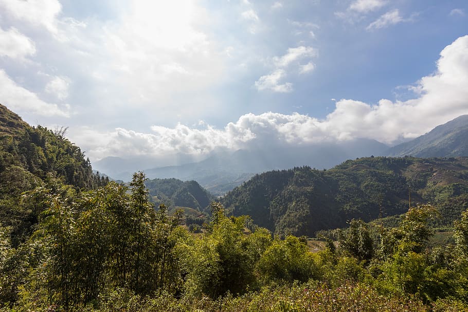 nature, landscape, tree, mountain, sky, sapa, vietnam, rice fields HD wallpaper
