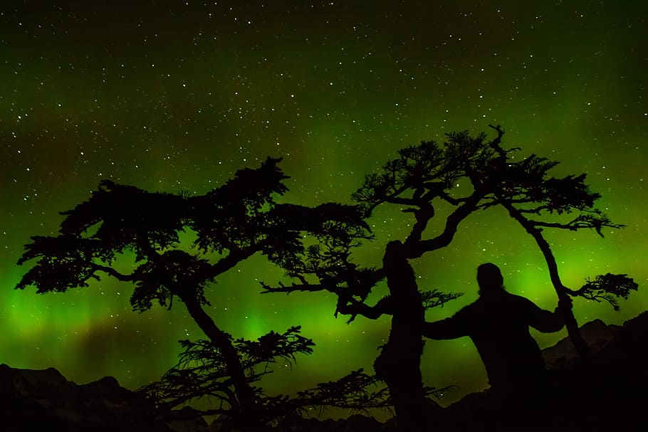 Green Aurora Light, aurora borealis, dark, night, northern lights HD wallpaper