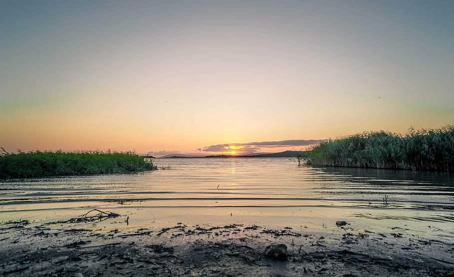 dawn, dusk, grass, lake, nature, outdoors, river, sky, sun HD wallpaper