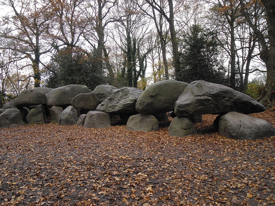dolmen, drenthe, ancient times, nature, tourism, rock - Object